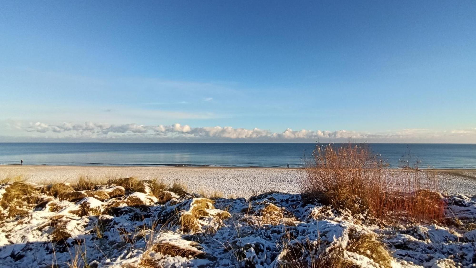 Strand25